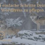 4 einfache Schritte Dein WordPress zu pflegen