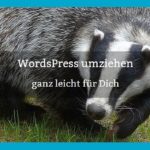 WordPress umziehen Cover