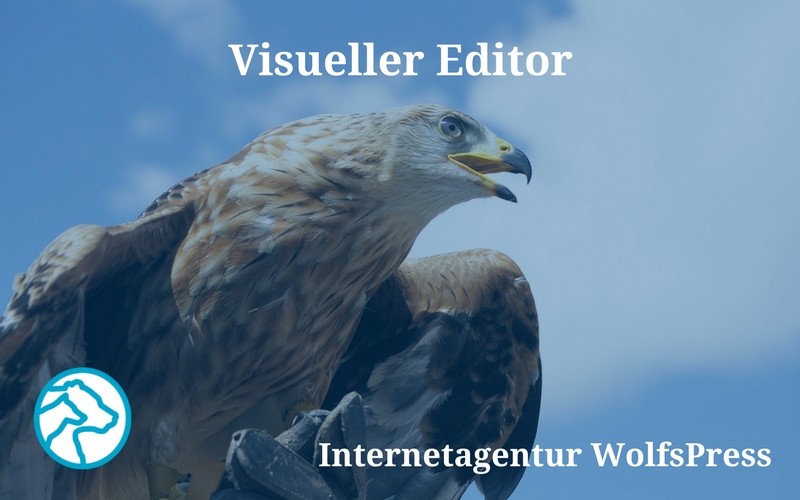 Visueller Editor in WordPress