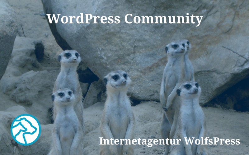 WordPress Community, WordCamp und WordPress Meetup – meine Einblicke