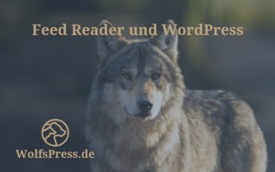 Feed Reader und WordPress