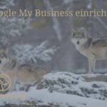 Google My Business einrichten