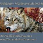 Wolfs Technik Sprechstunde