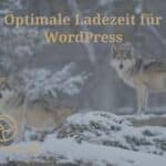 Optimale Ladezeit für WordPress