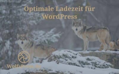 Optimale Ladezeit für WordPress: Tipps und Tricks