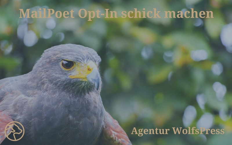 Anmeldeformular für WordPress Newsletter mit MailPoet schick machen