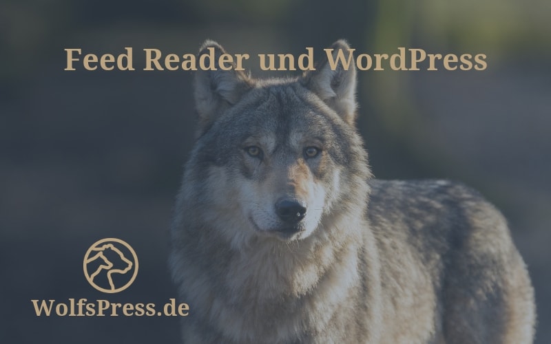 Feed Reader und WordPress