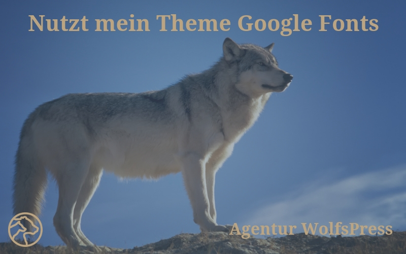Nutzt mein Theme Google Fonts?